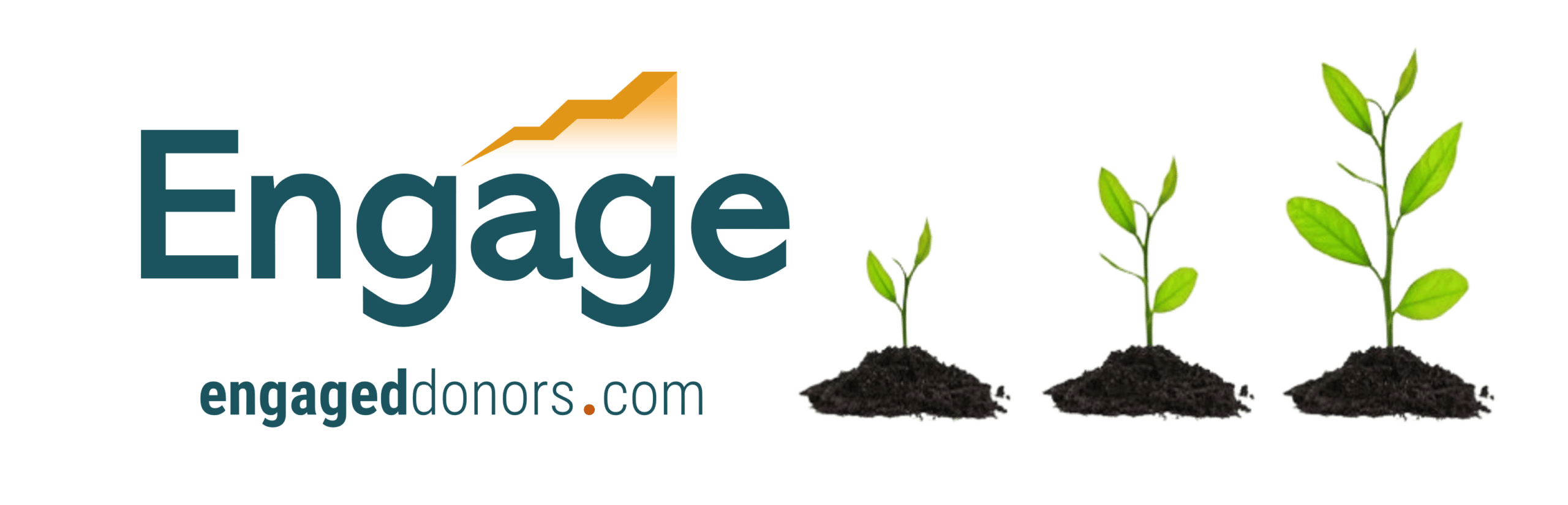 new edi logo